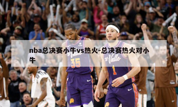 nba总决赛小牛vs热火-总决赛热火对小牛