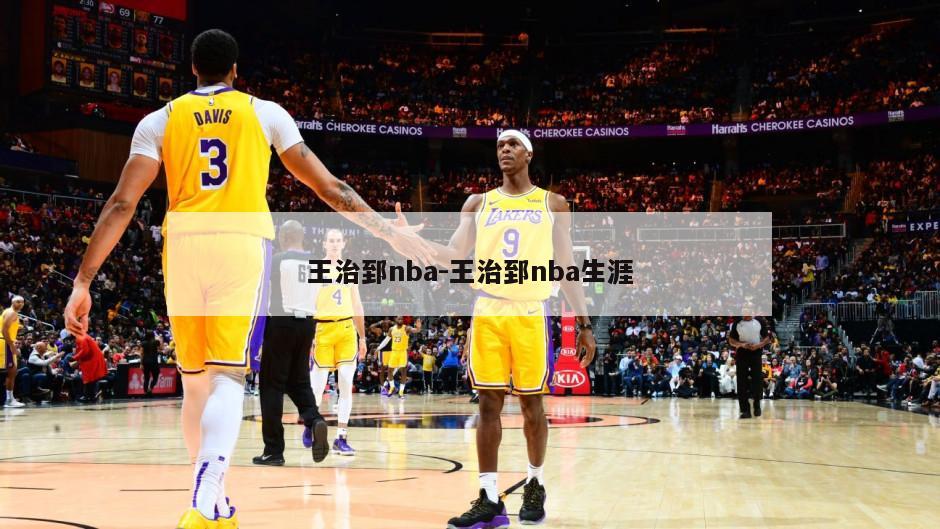 王治郅nba-王治郅nba生涯